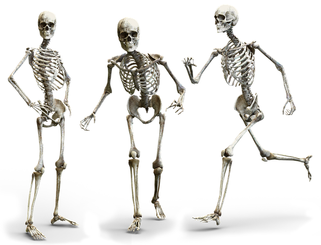 skeletons