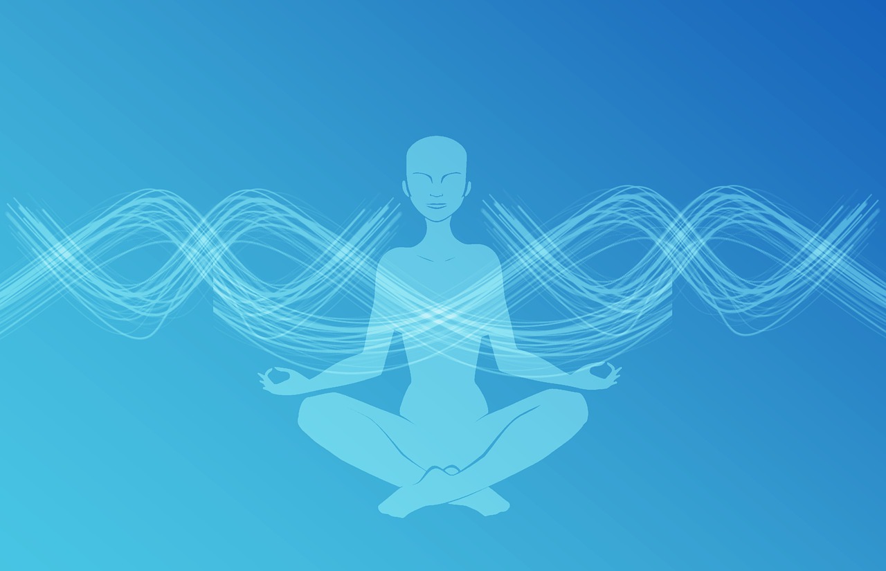 Bioenergetics and energy medicine